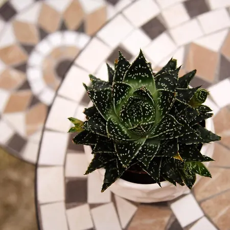 بيت للعطل Casa Pierina - Traditional